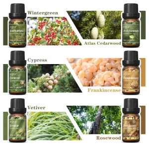 HIQILI Woody Fragrance Oils Set